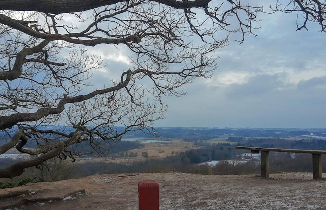 4 Person Holiday Home in Silkeborg-by Traum - Foto 5