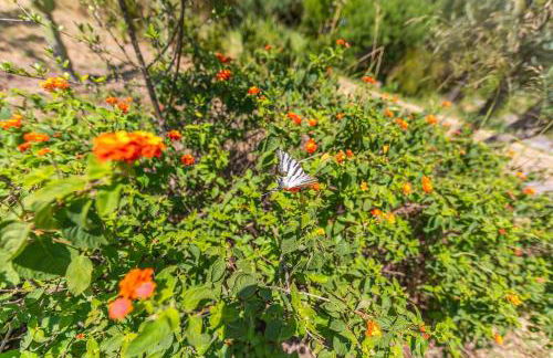 Casa Pájaro Colores in Bolonia - Foto 80