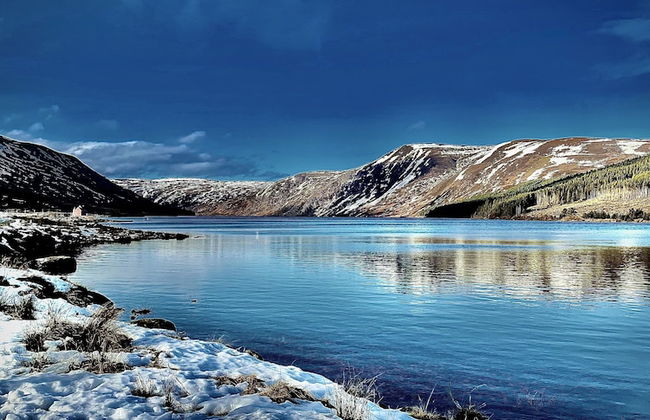 Rossal House Apartments - Foto 79