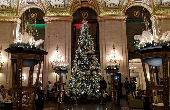 A experiência de rastreamento de árvores de Natal em Chicago nos feriados - Foto 7
