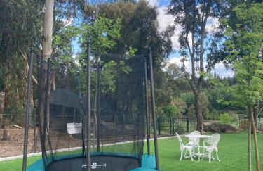 Quintinha Silvestre - Foto 22