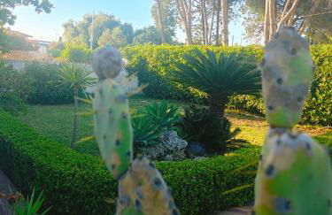 FONTANE BIANCHE 300MT fROM BEACH - Foto 19