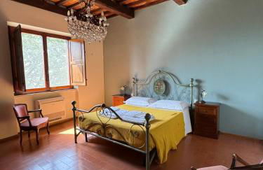 Fattoria Tolomei - Foto 34