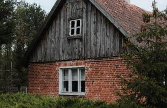 Sztuka Lasu - Foto 7