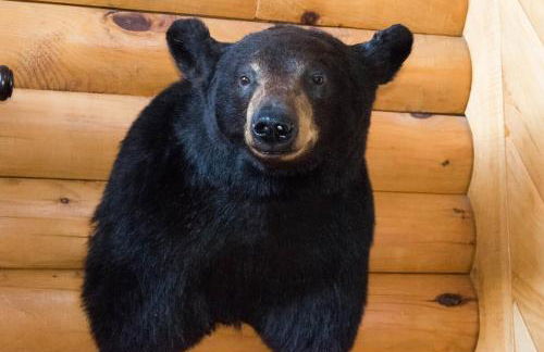 Spectacular Vermont Mountain Retreat! - Foto 20