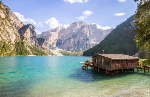 Stacherhof - Photo 52