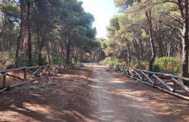 Domus Solis Salento - Foto 51