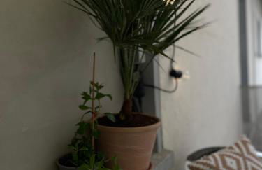 Apartment on Bergstraße - Foto 35