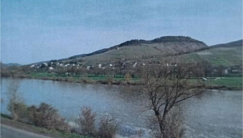 Ferienhaus zur Moselfähre - Foto 4