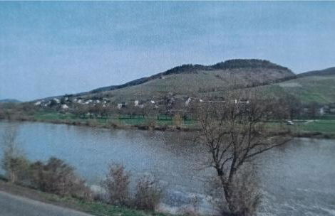 Ferienhaus zur Moselfähre - Foto 4