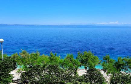 Apartments Blueness - Foto 36