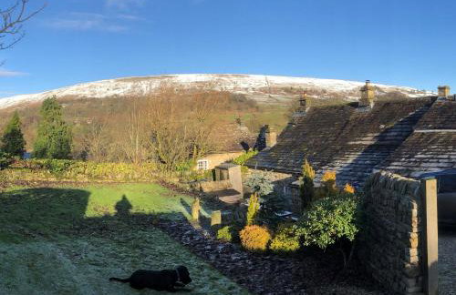 Neddy House - Photo 32