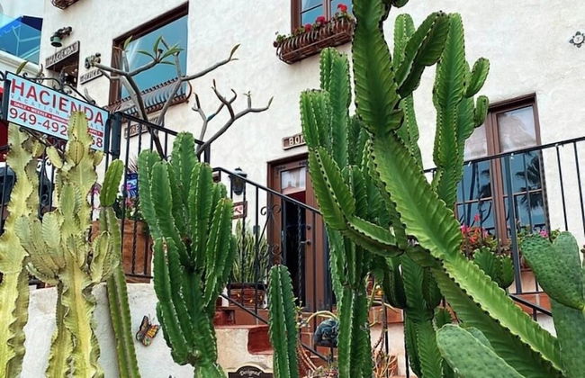 Oceanfront Hacienda - Photo 36