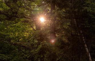 Cozy Luxury Cabin w Hot Tub, Fire Pit, King Bed - Foto 56