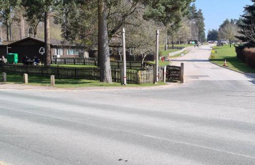 The Shambles by Spires justn3 miles from Birches Valley visitors centre home to MTB trails Follow the Dog and the Monkey Trail - Foto 26