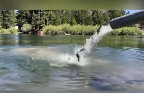 Snow Bunny Cottage, Pets Welcomed! - Foto 32