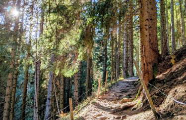 Leas Alpennest - Photo 25