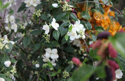 The Dragonfly Retreat - Photo 59