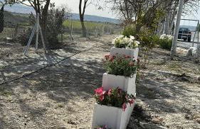 Alojamientos CUEVAS TIANA - Photo 19