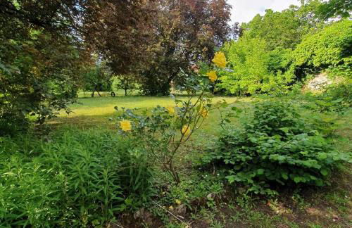 Les Demeures du Parc, La Paroisse, proche des Thermes - Foto 11