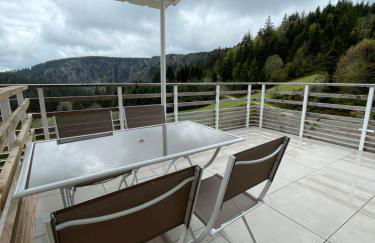 Beau duplex vue sur le Lac Blanc - Foto 19