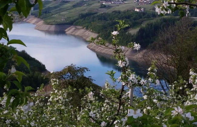 Agritur Vista Lago - Foto 17