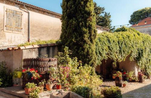 Eco-Friendly Gite In A Wine Estate In Frontignan - Foto 22