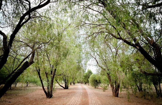 Little Swift Chalets - Photo 8