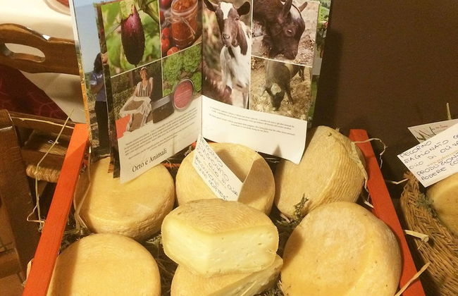 Podere Cortesi Agriturismo Molinaccio - Foto 34