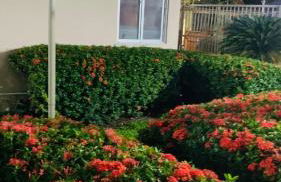 GUARÁS - Complete & excellent locationCOP 30 - Foto 44