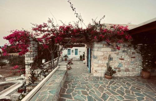 Stone Villa Mina - Foto 50