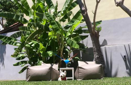 Paradise Hotel & Bar - Photo 54