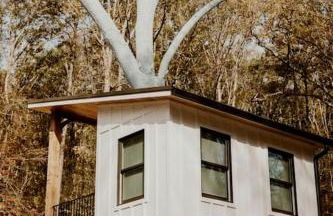 Off-grid Tree House Suitable for Four in Alabama - Foto 21