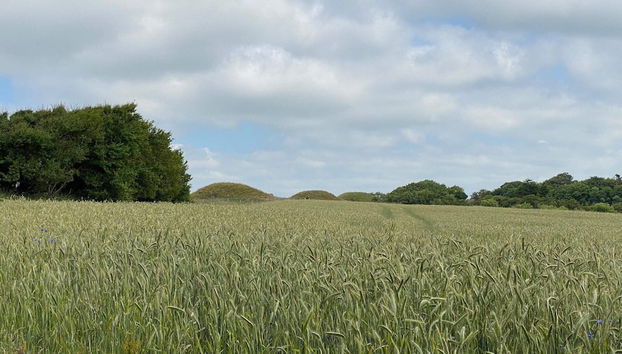 Holiday Home in Ranum - Foto 5