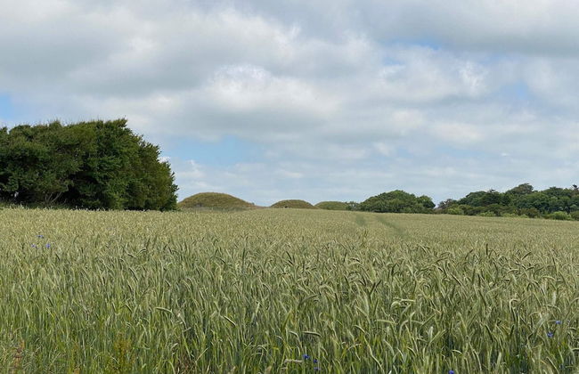 Holiday Home in Ranum - Foto 5