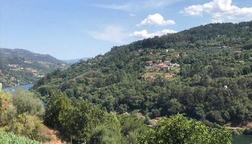 Quinta do galo - Foto 1