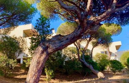 Hauzify I Apartament Grumet - Foto 19