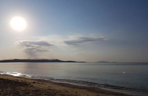 Villa with swimming pool and tennis/basketball court - Foto 51