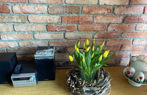 Dom Przy Lesie Zielonowo - Foto 3