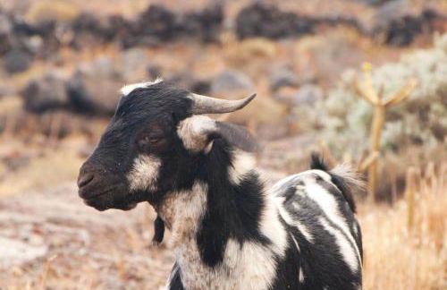 Apartamento Verdemare - Photo 45