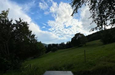 BergOase-Apart am Feldberg - Foto 69