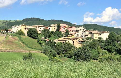 Il Girasole - Foto 17