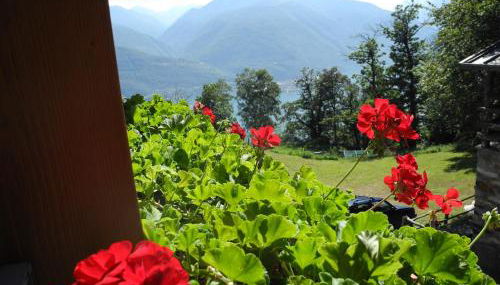 Agriturismo Piccolo paradiso - Foto 4