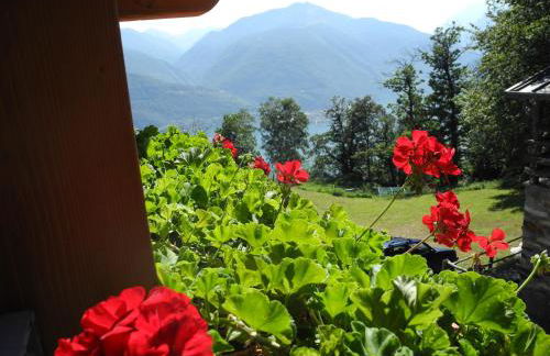 Agriturismo Piccolo paradiso - Foto 4