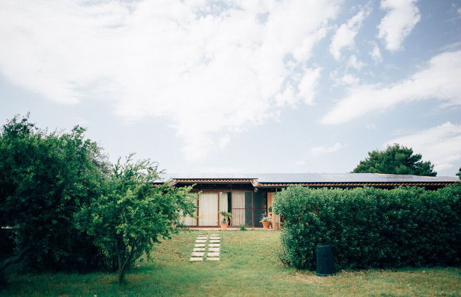 Su Leunaxiu - Foto 51