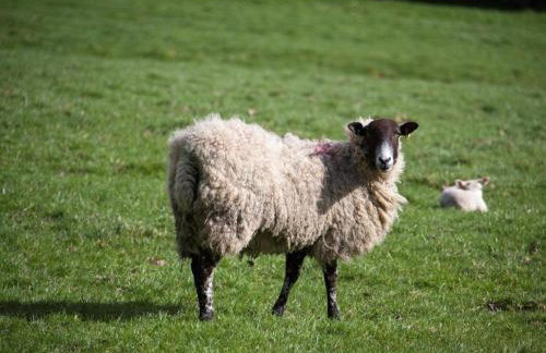 1 Bed in Pateley Bridge oc-g0050 - Photo 32