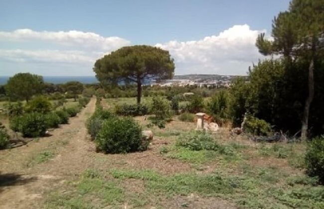 Giardino dei Melograni - Foto 40