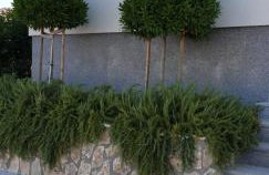 Sea View Apartments Zaboric - Foto 7