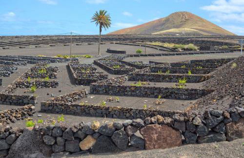 Tea-Rose Loft - Photo 21