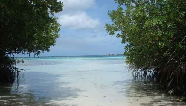 Contemplando el mar de Mangel Halto